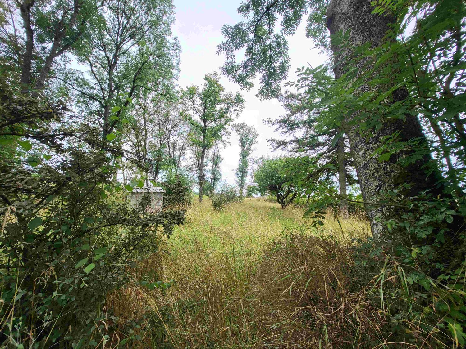  en venta casa Diennes-Aubigny Nièvre 6