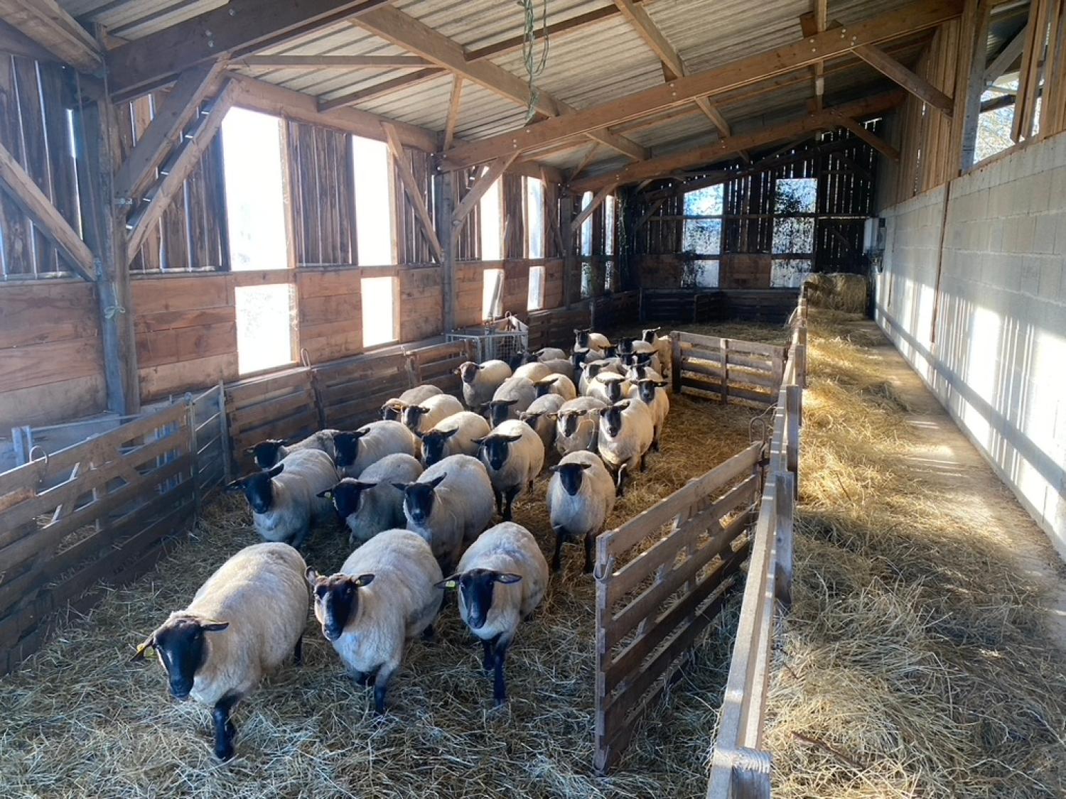  en venta casa rústica Saint-Yrieix-la-Perche Haute-Vienne 8