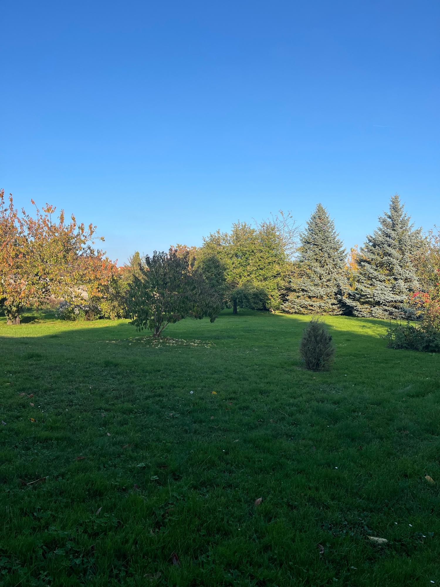  en venta casa independiente La Houssaye-en-Brie Seine-et-Marne 10