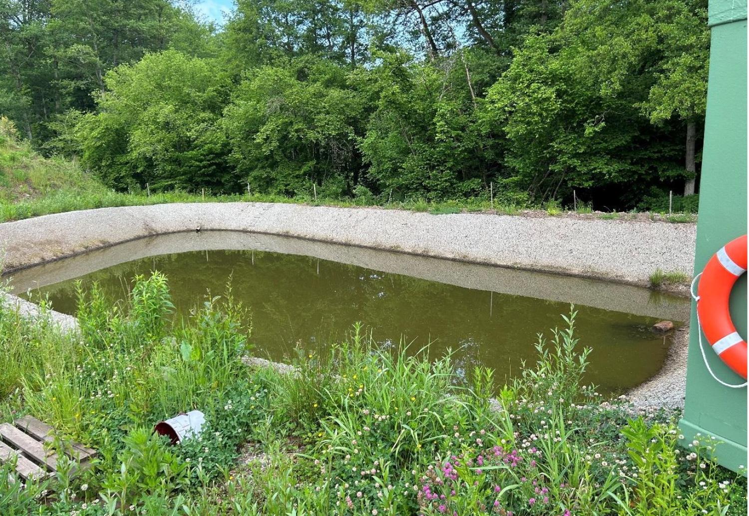  en venta terreno Waldhambach Bas-Rhin 9