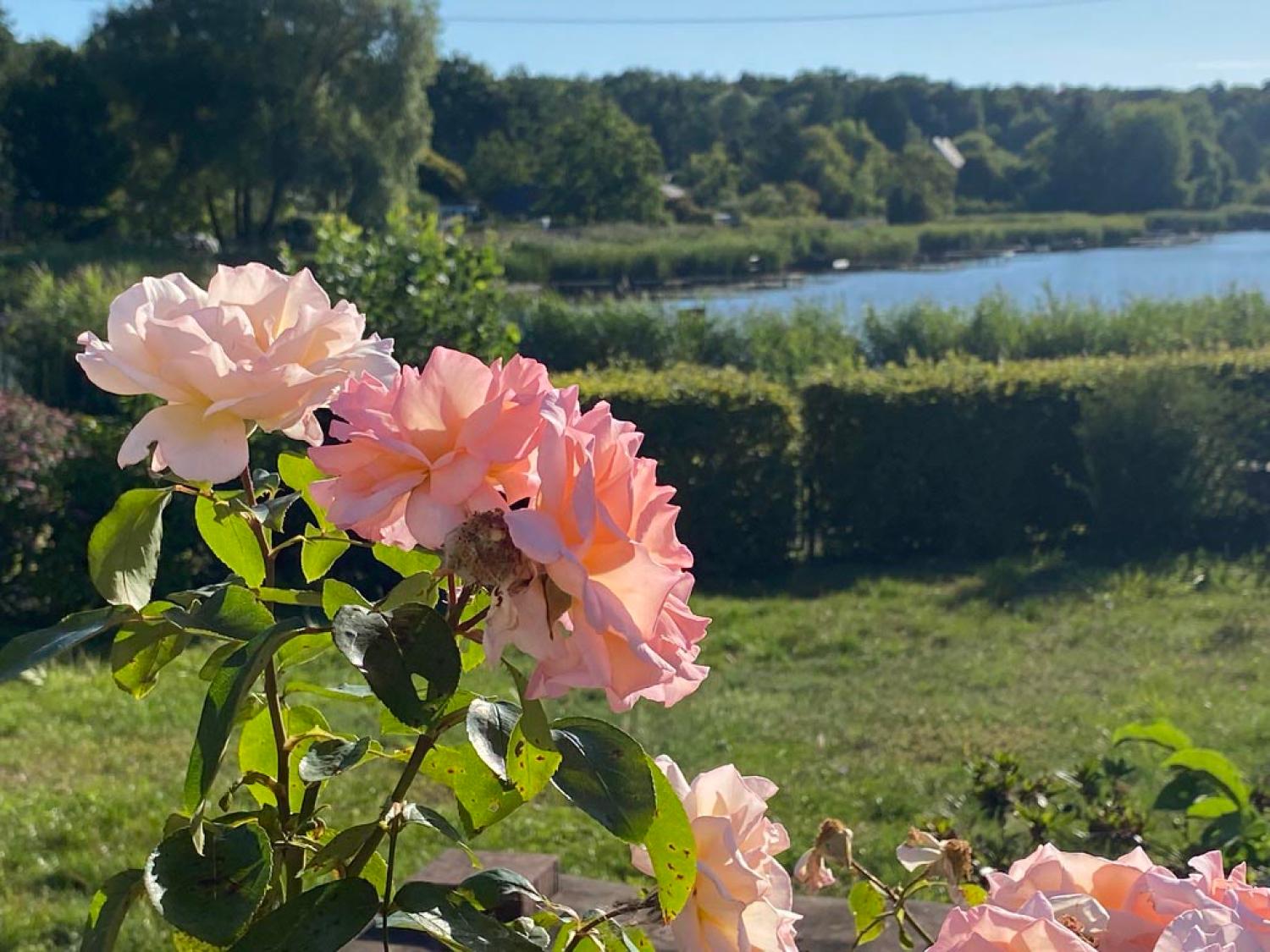  en venta casa Rémering-lès-Puttelange Moselle 10
