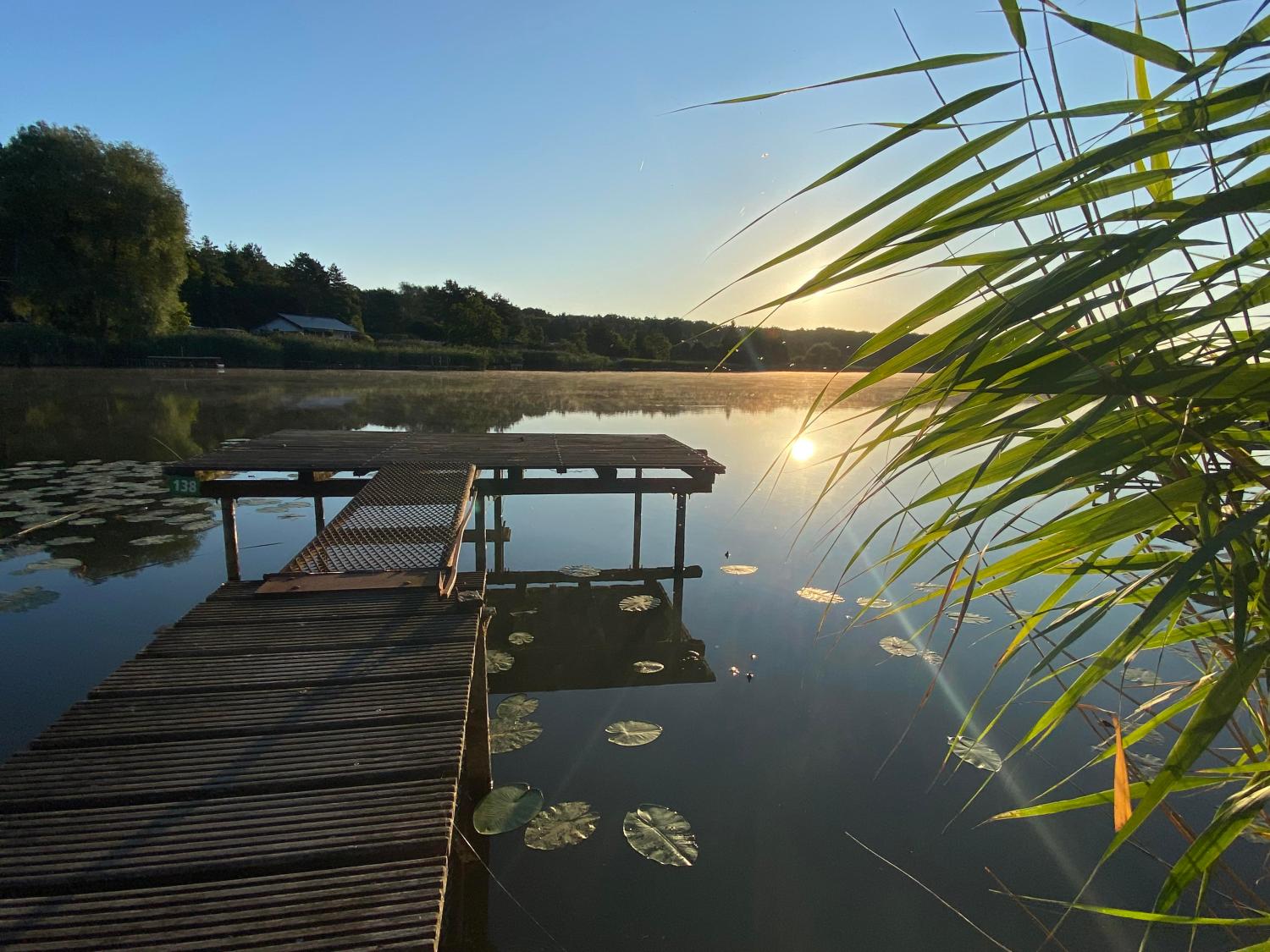  en venta casa Rémering-lès-Puttelange Moselle 3