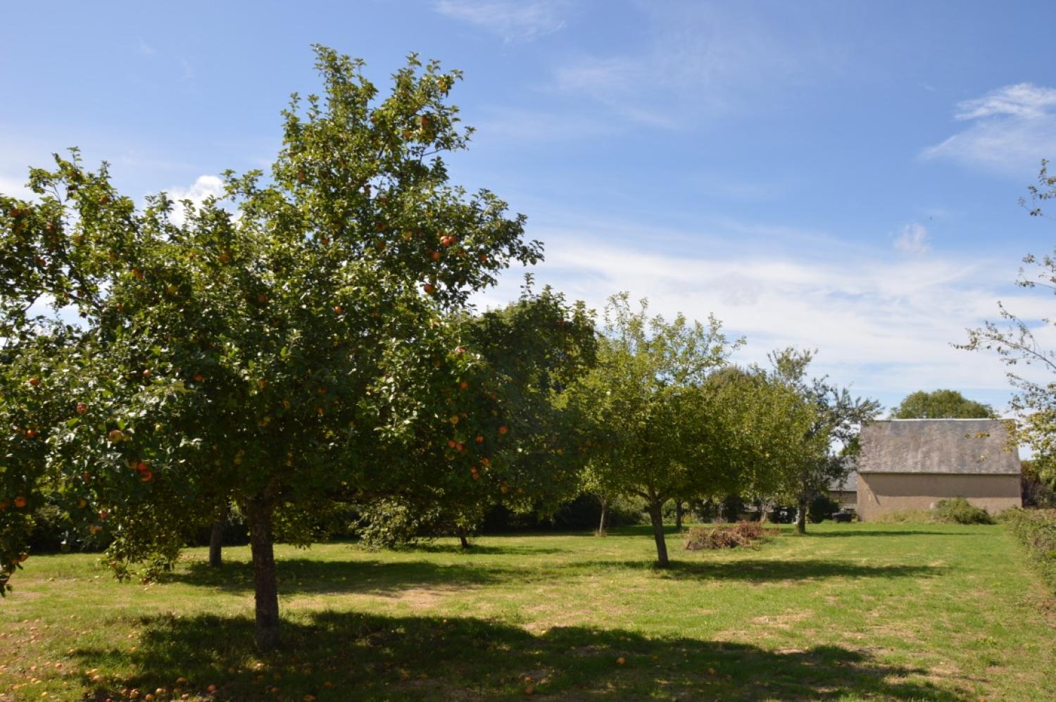  en venta casa independiente Aunay-en-Bazois Nièvre 4