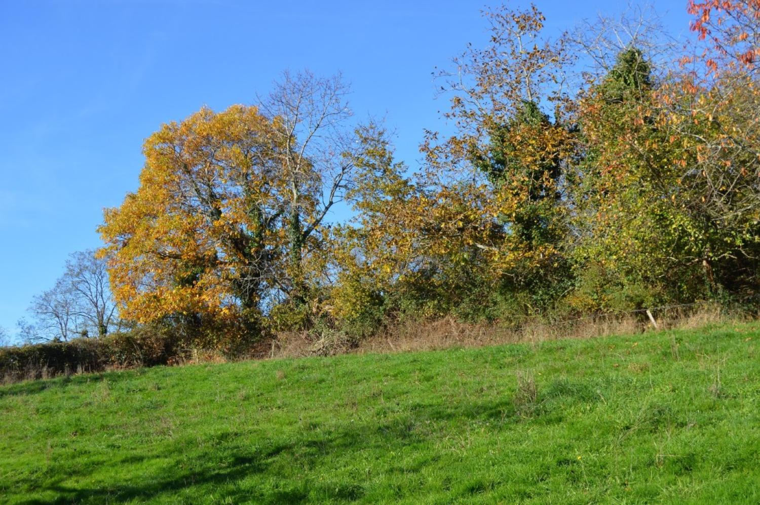  en venta casa Millay Nièvre 8