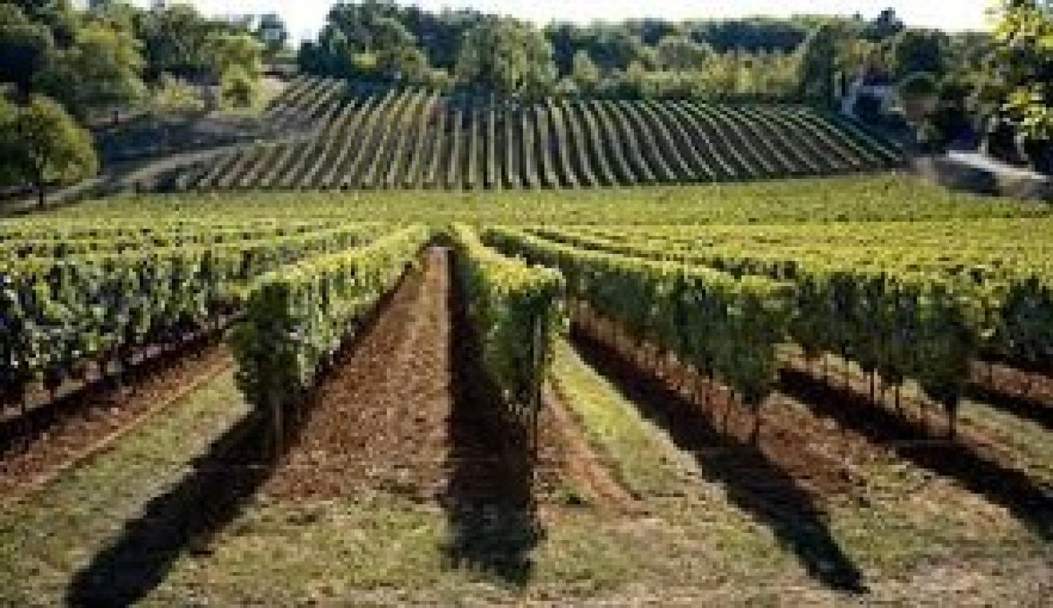  en venta finca rústica Valeilles Tarn-et-Garonne 44