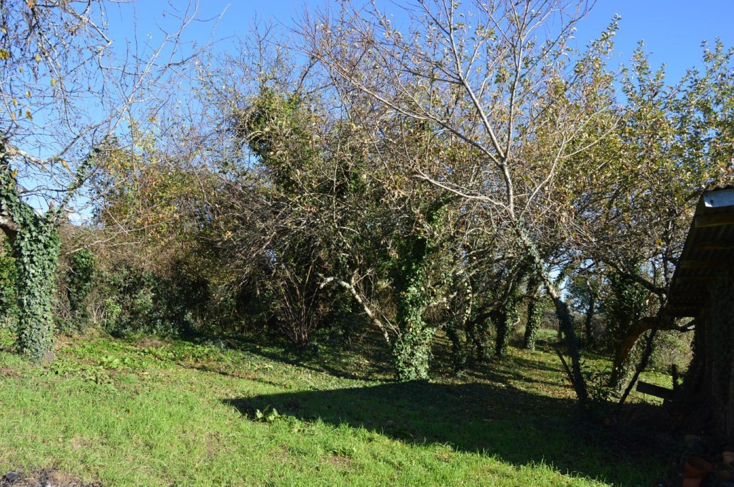  en venta casa Millay Nièvre 7