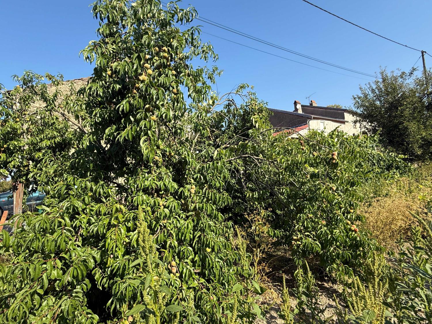  en venta casa de pueblo Enfonvelle Haute-Marne 19