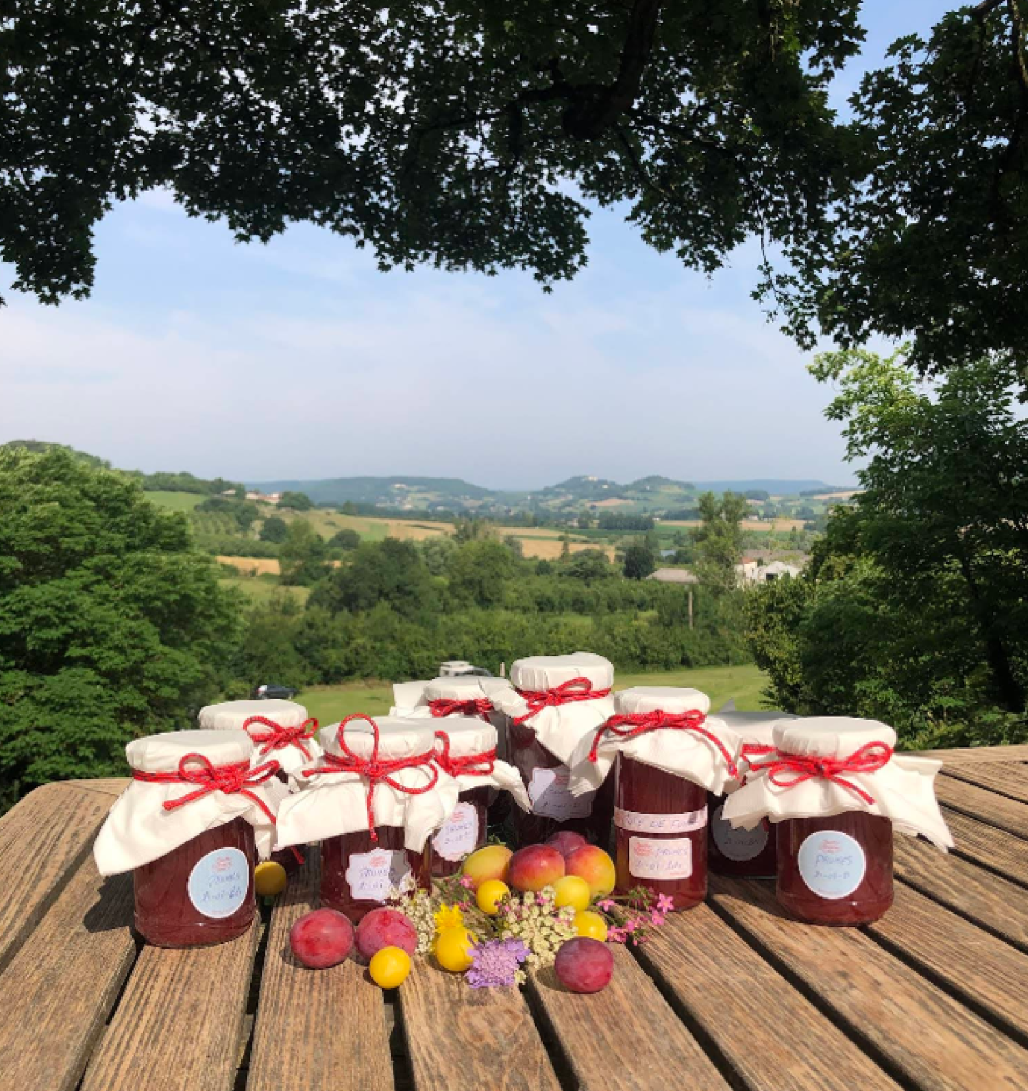  en venta finca rústica Valeilles Tarn-et-Garonne 20