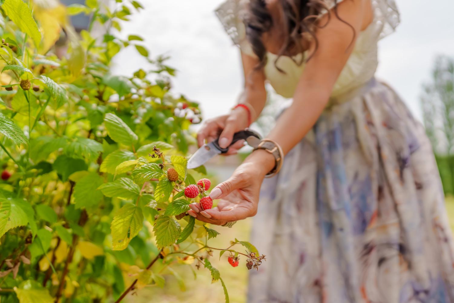  en venta villa Langon Loir-et-Cher 37