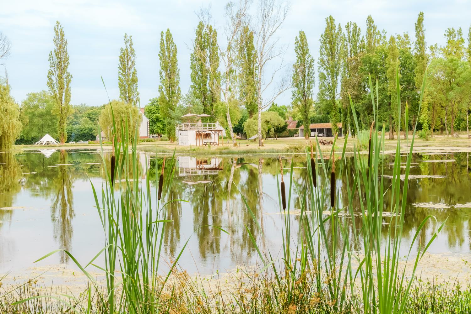  en venta villa Langon Loir-et-Cher 34