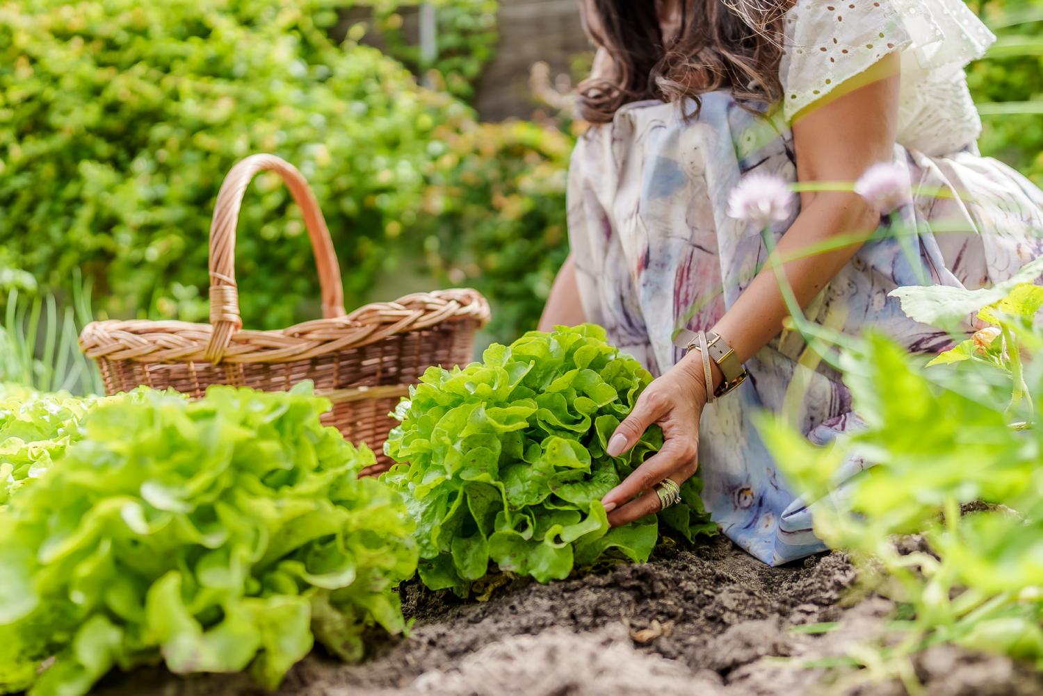  en venta villa Langon Loir-et-Cher 38