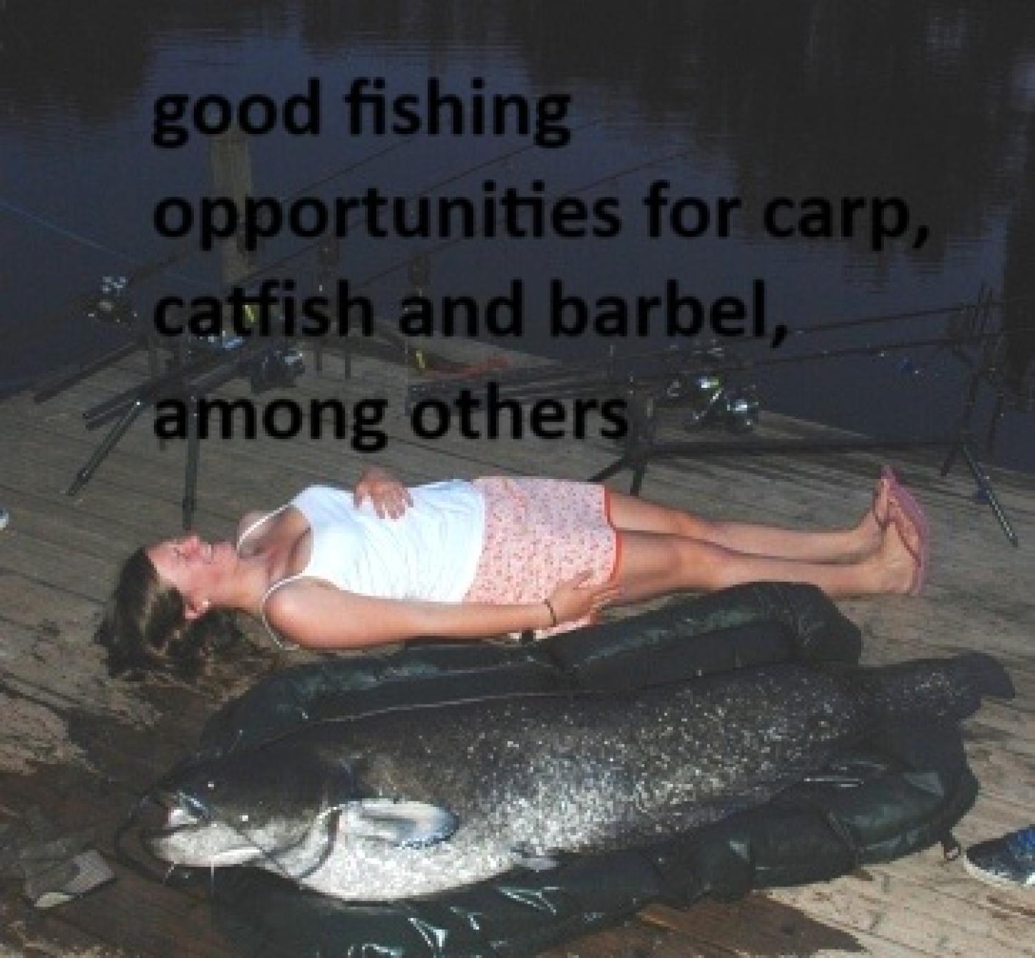  en venta casa con anexo de invitados Puy-l'Évêque Lot 36