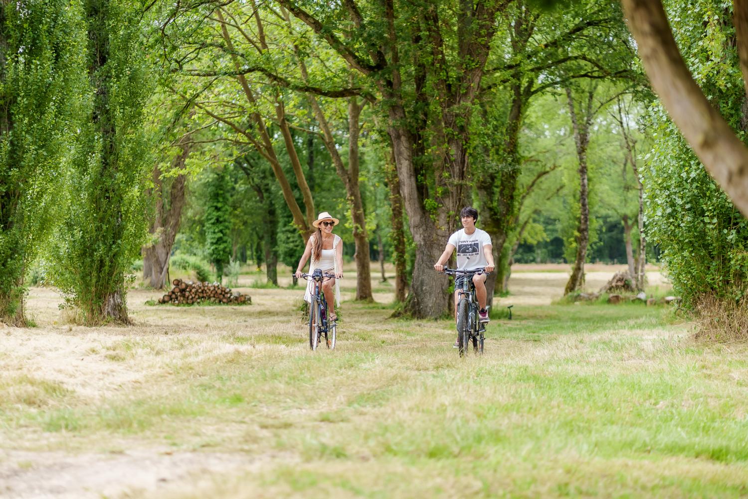  en venta villa Langon Loir-et-Cher 39