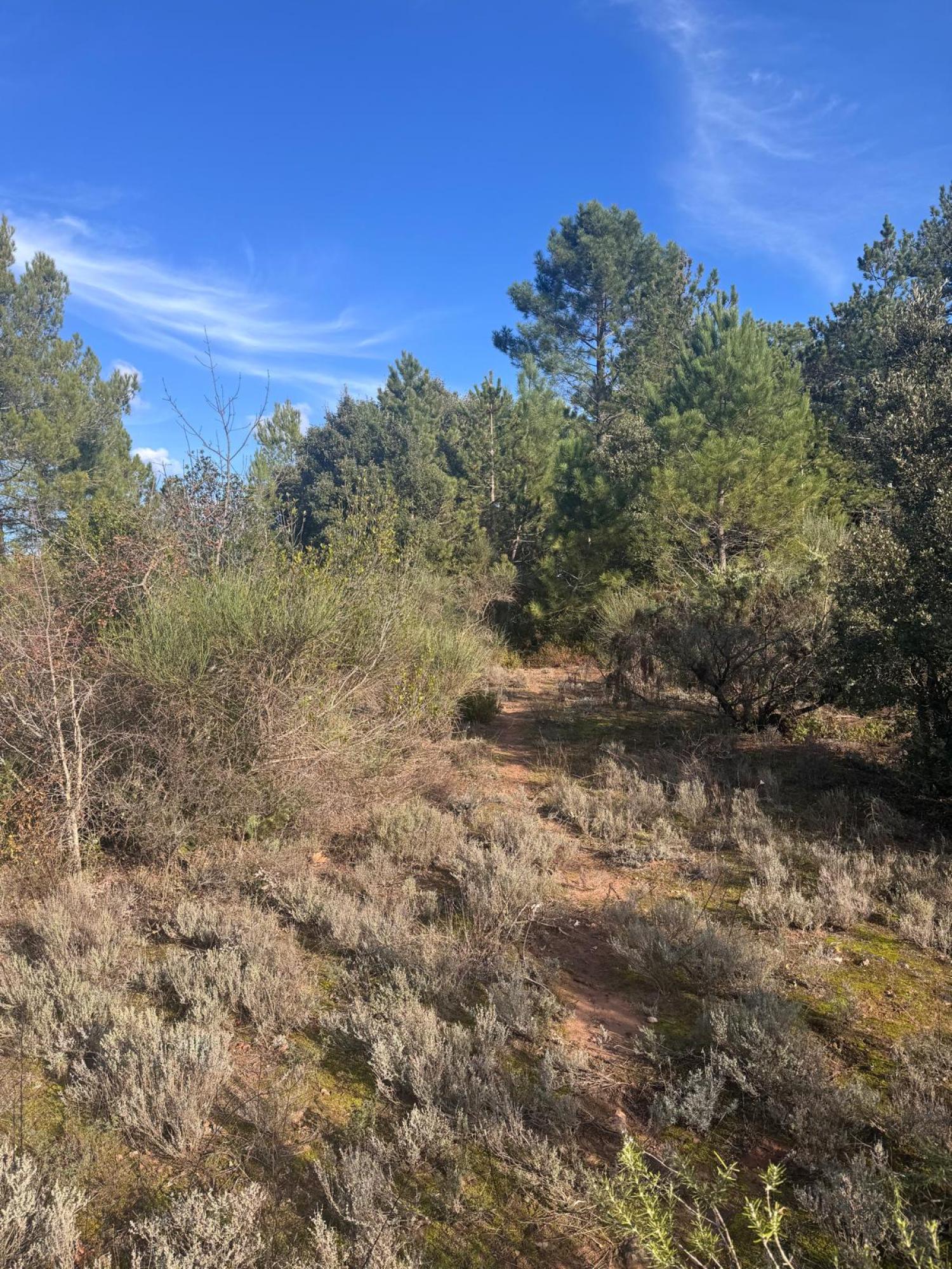  en venta casa Bédarieux Hérault 30