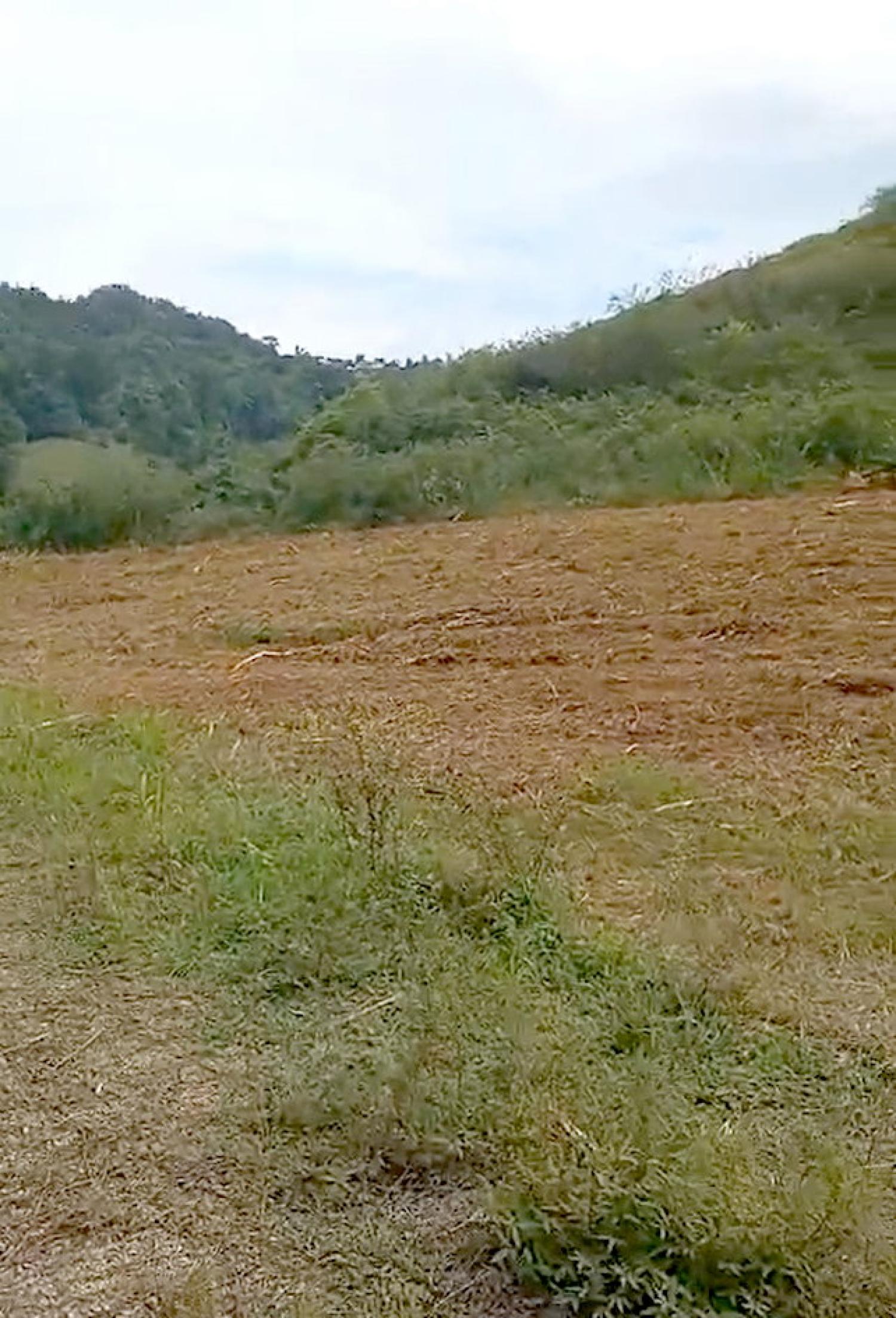 en venta casa Le Robert Martinique 5