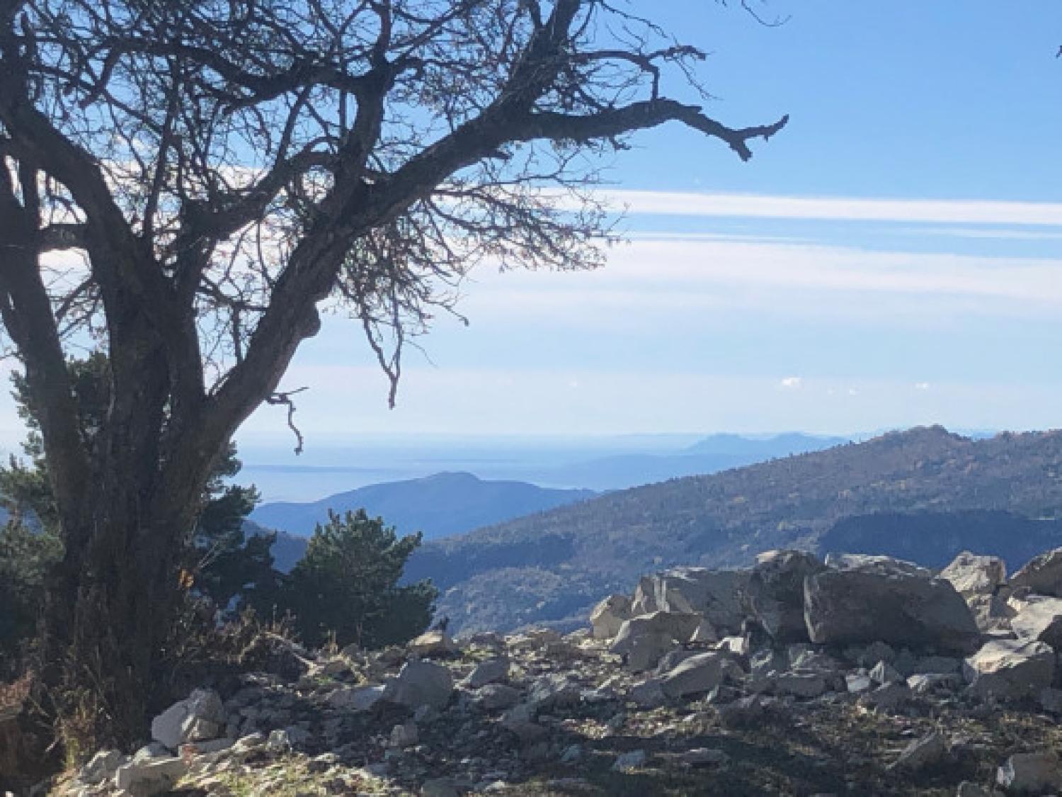  en venta terreno Sospel Alpes-Maritimes 1