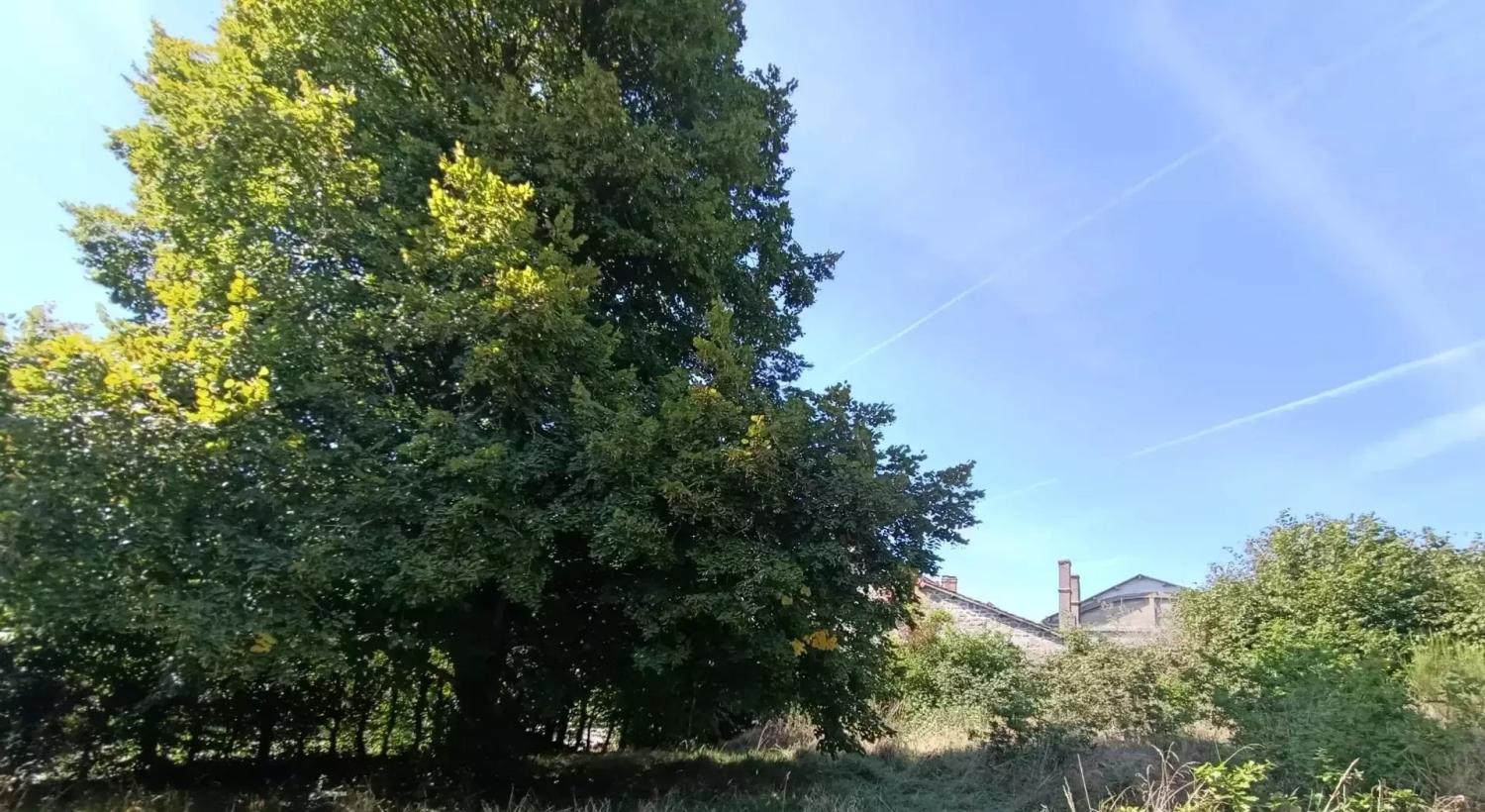  en venta casa Saint-Maurice-près-Crocq Creuse 18