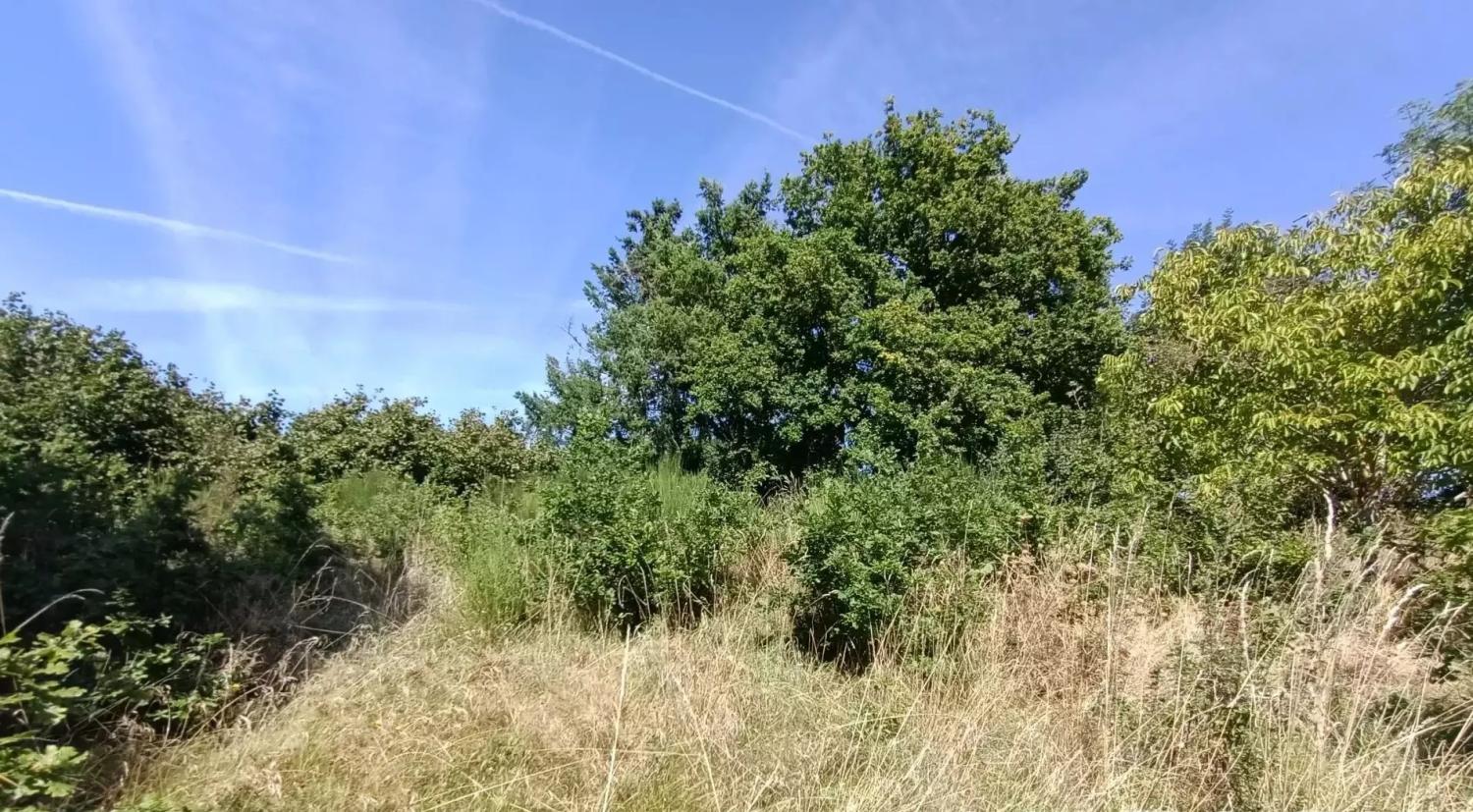  en venta casa Saint-Maurice-près-Crocq Creuse 19