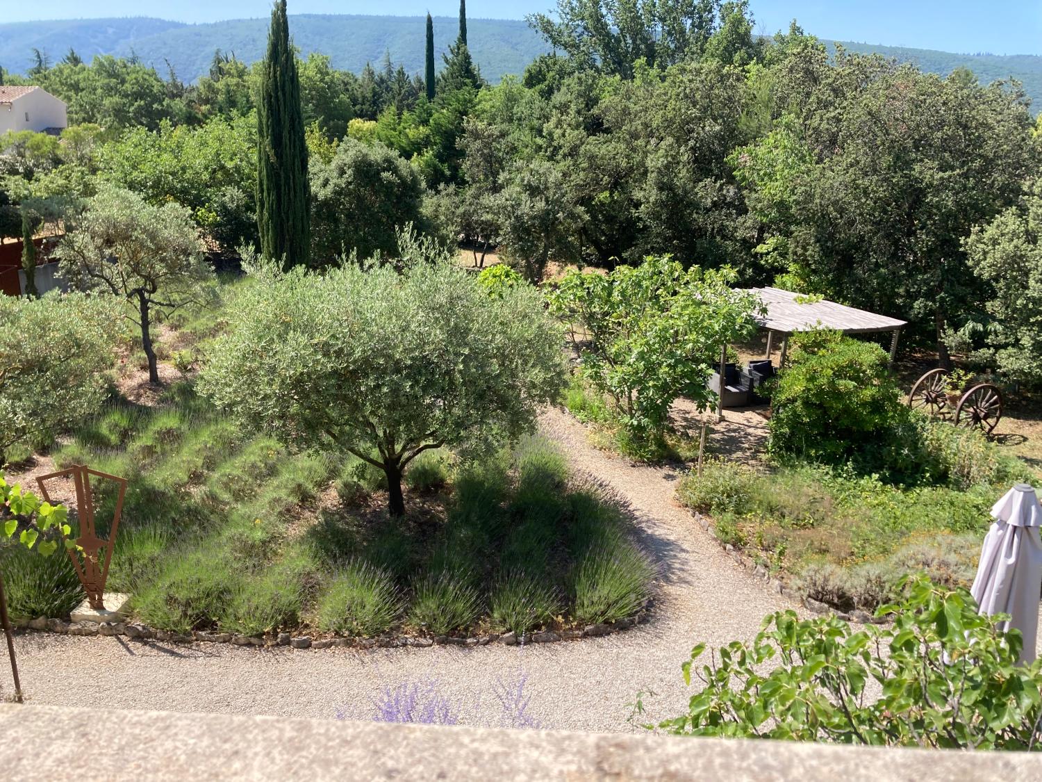  en venta cama y desayuno Lacoste Vaucluse 18