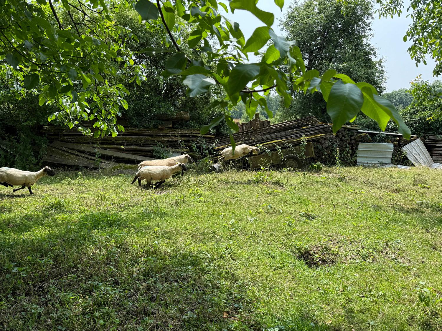  en venta finca de pueblo Confracourt Haute-Saône 37