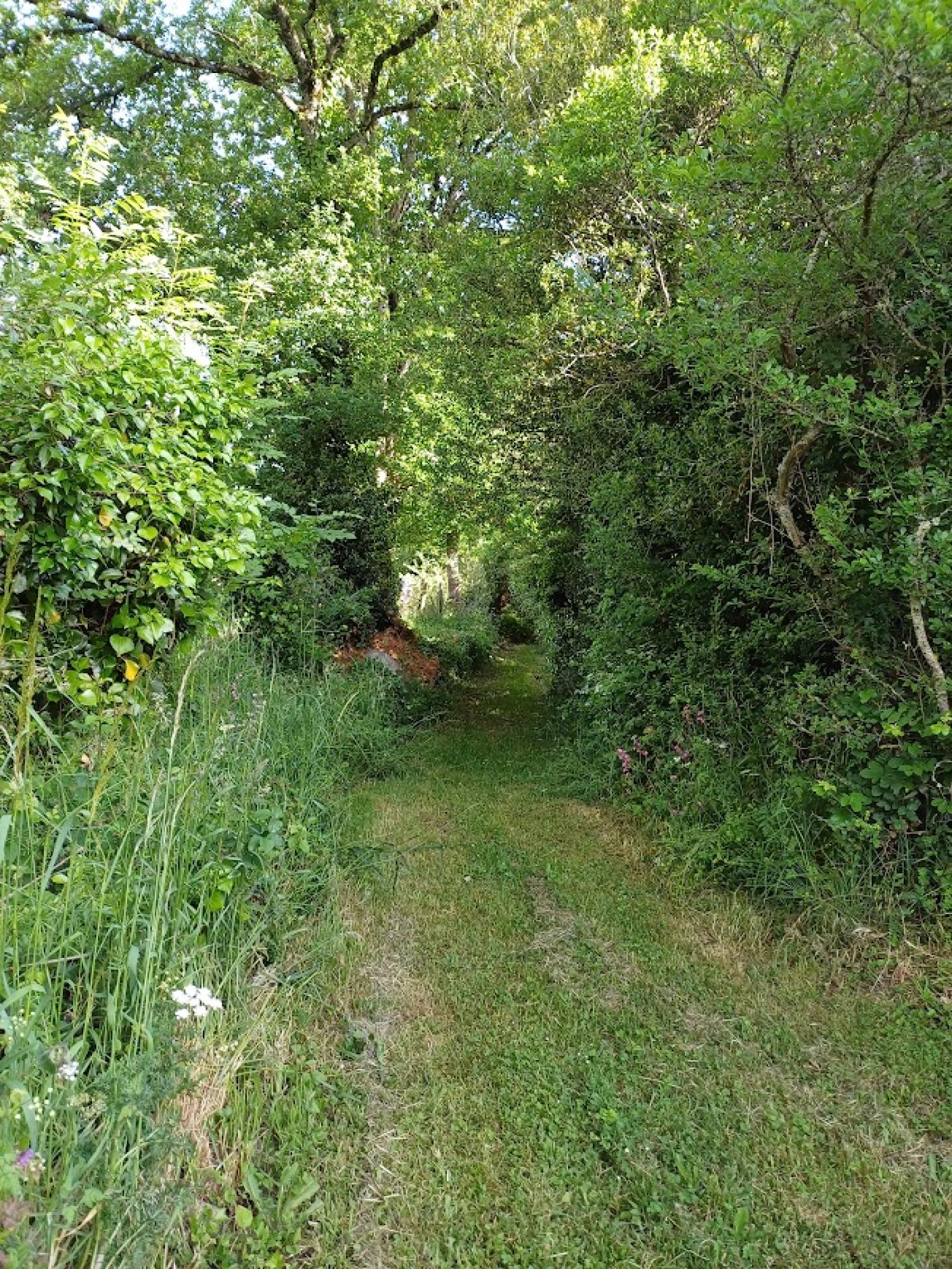  en venta casa independiente Chénérailles Creuse 4