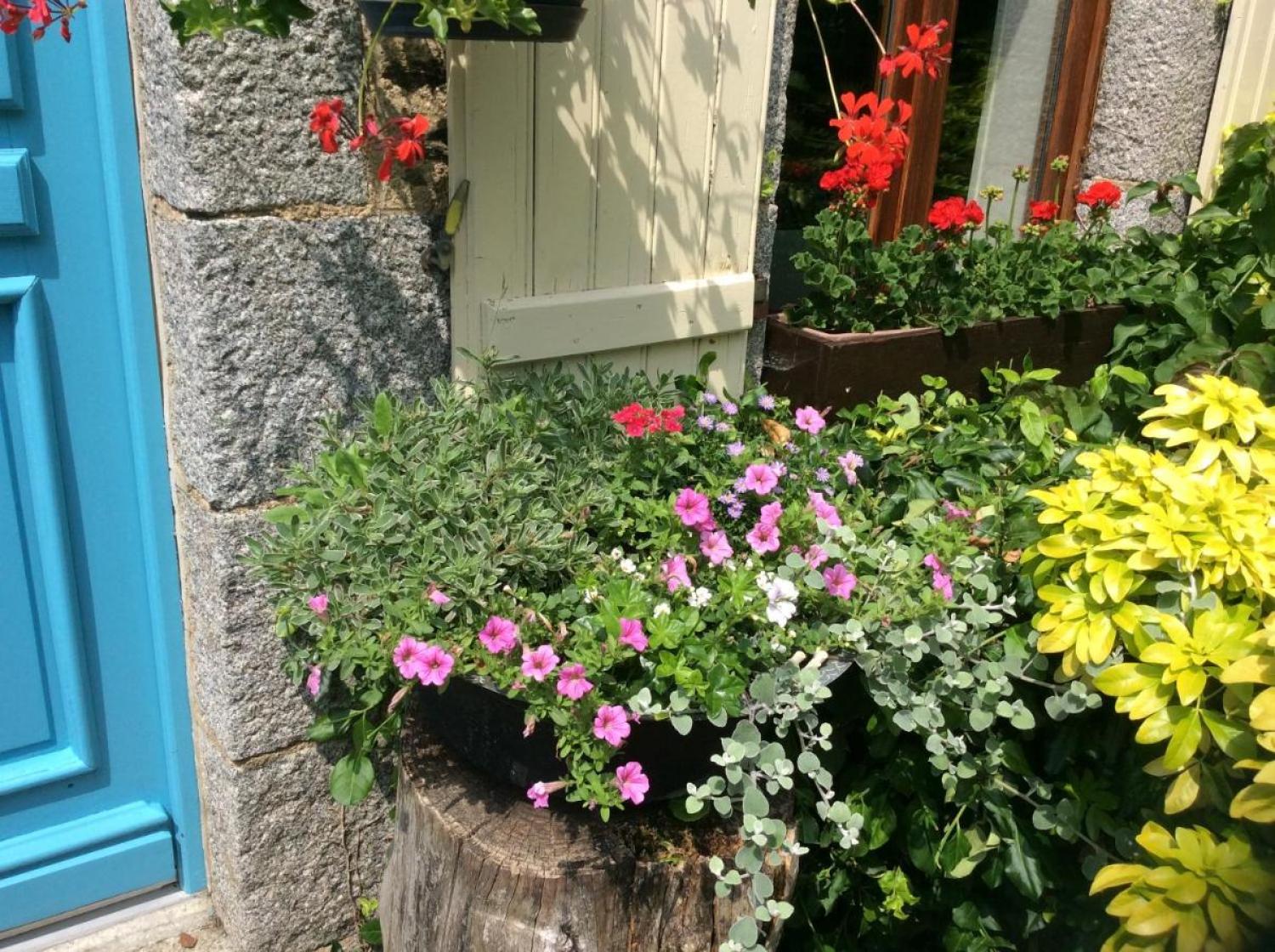  en venta casa con anexo de invitados Saint-Hilaire-du-Harcouët Manche 13