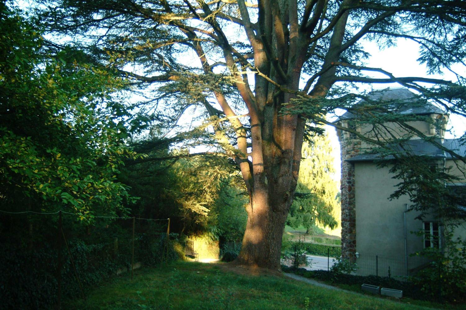  en venta castillo Saint-Honoré-Les-Bains Nièvre 9