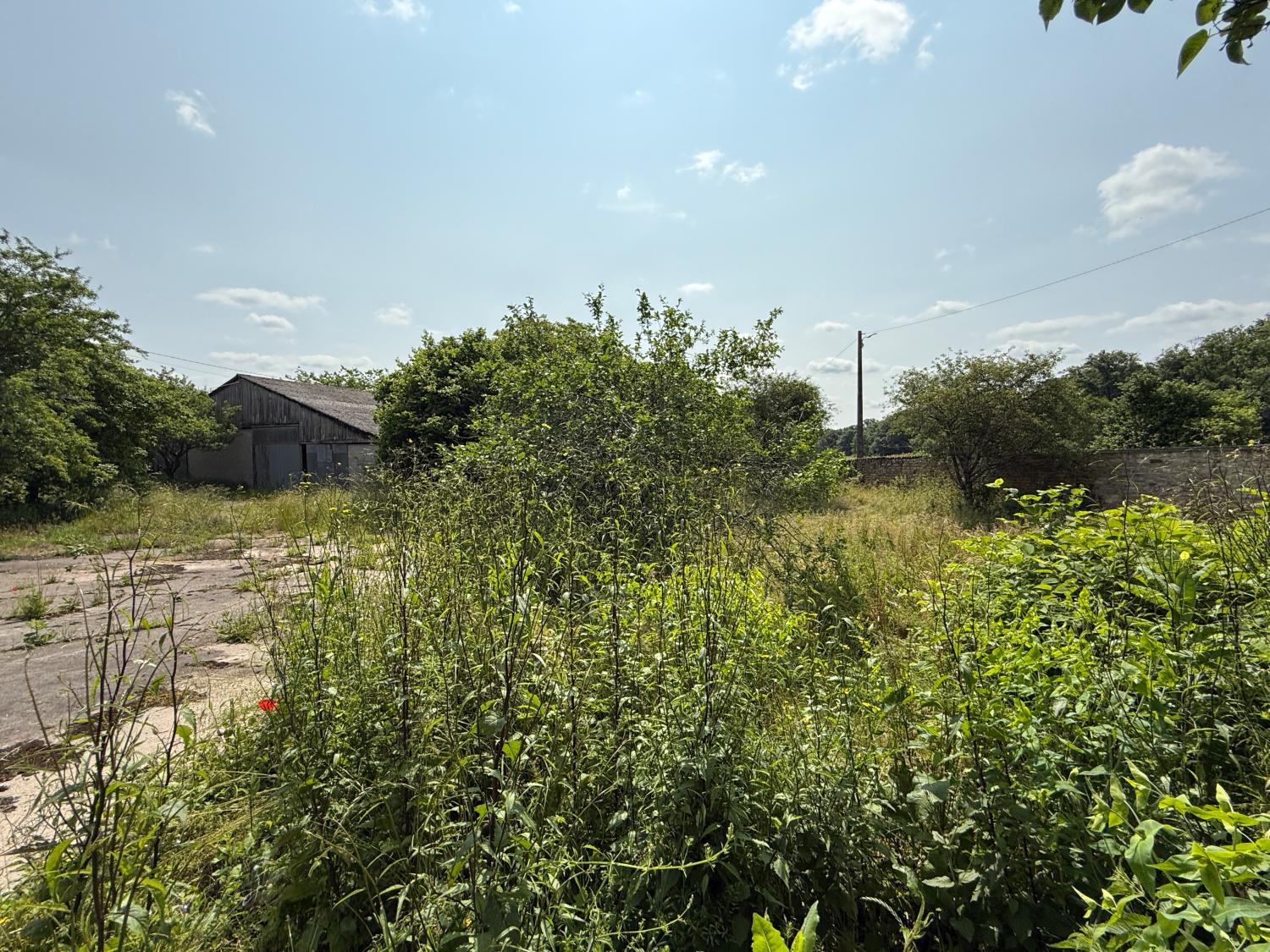  en venta casa independiente Hennezel Vosgos 43