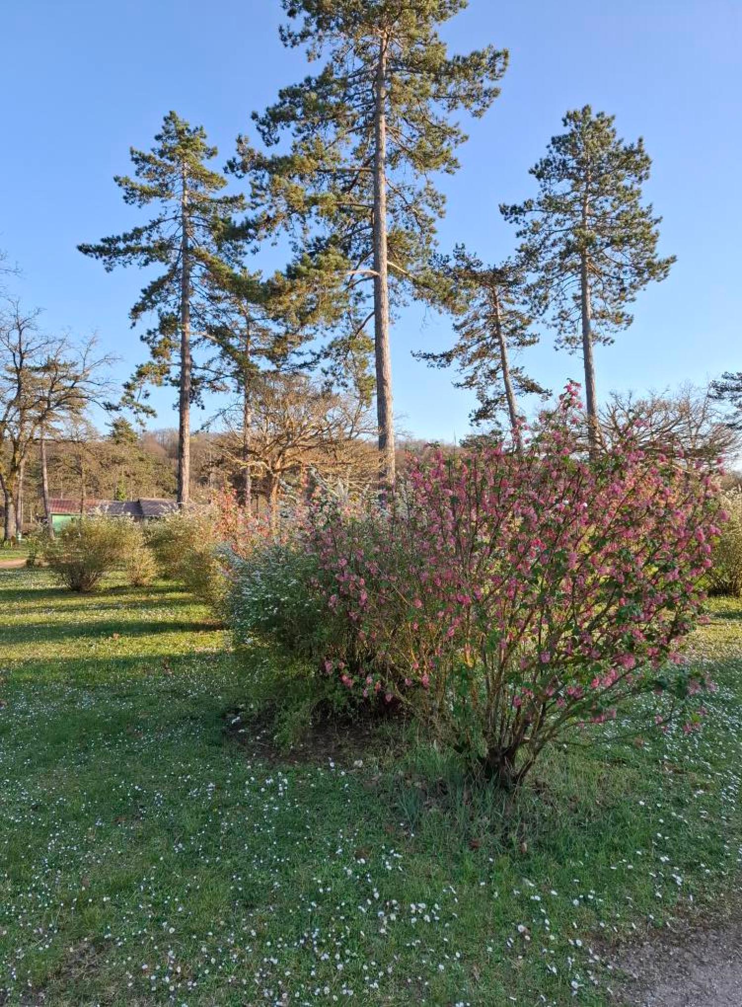  en venta camping Jaulny Meurthe-et-Moselle 34
