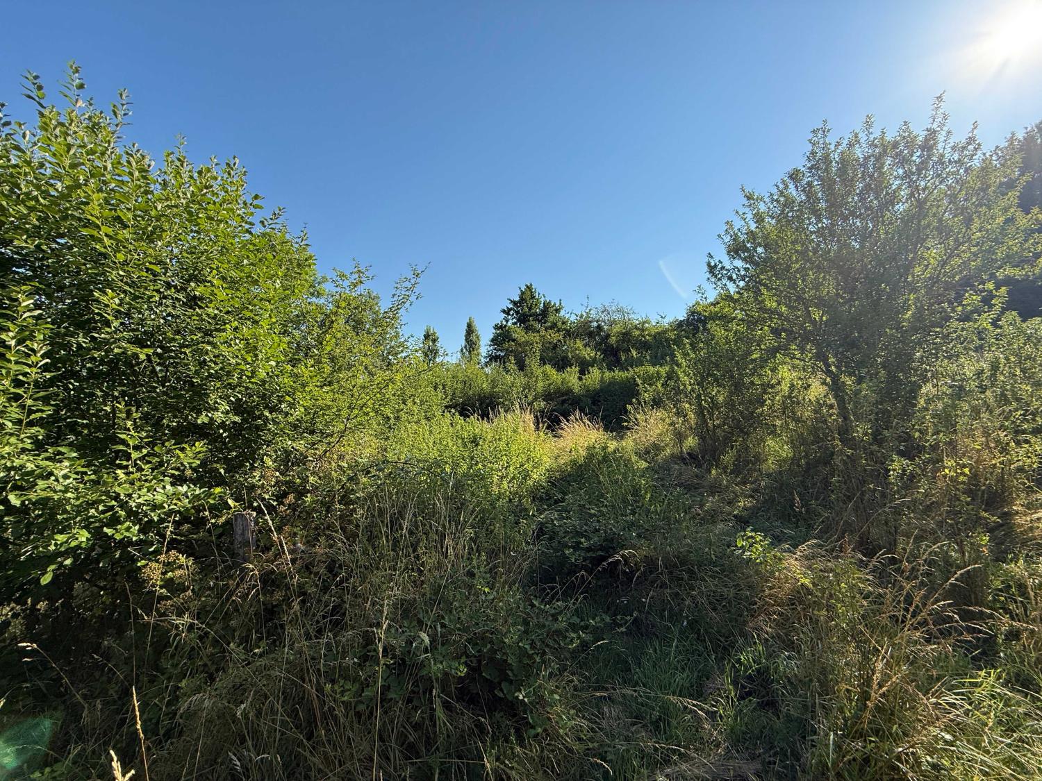  en venta terreno Bourbonne-les-Bains Haute-Marne 8