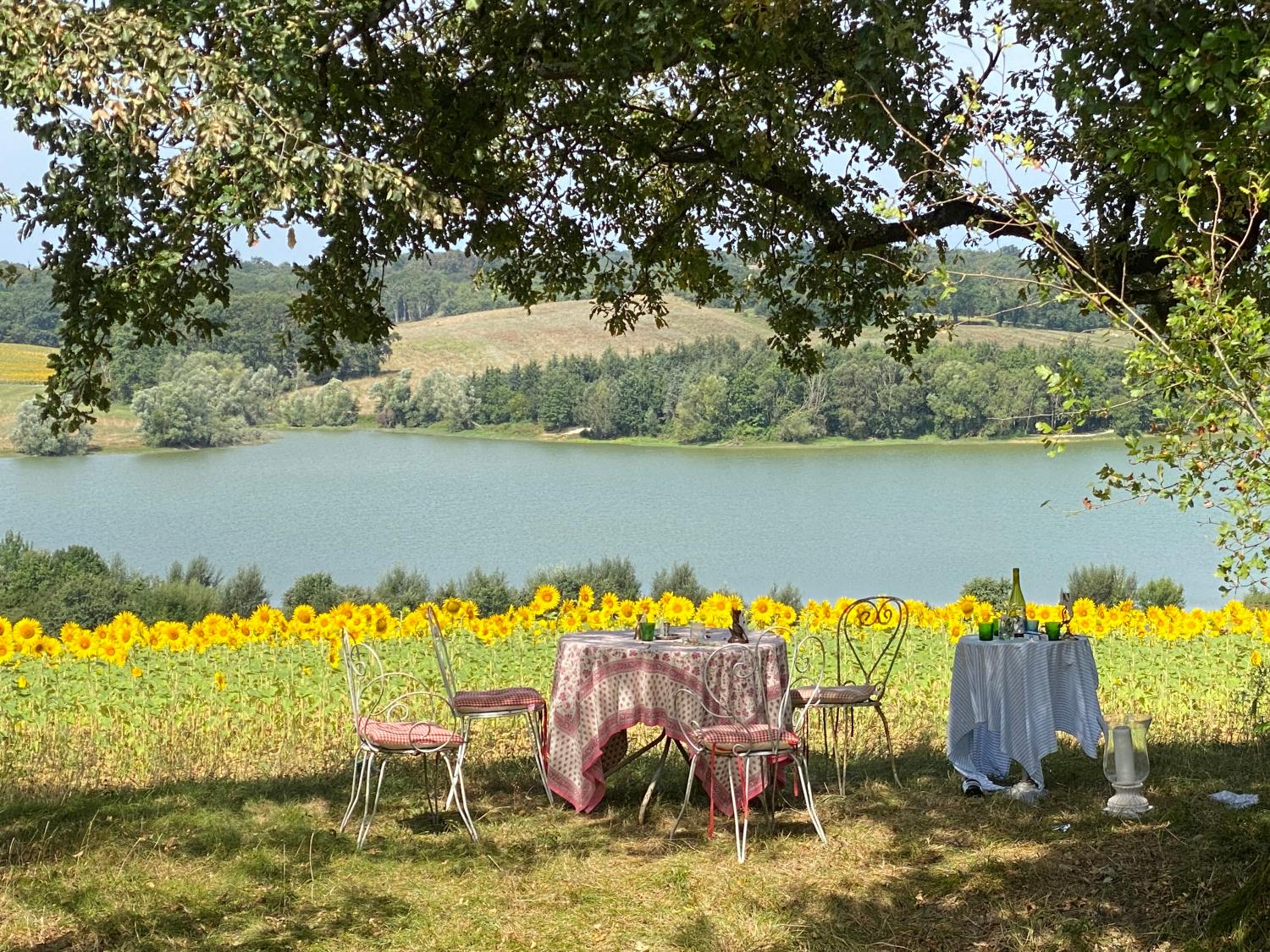  en venta casa independiente Castillon-Debats Gers 38