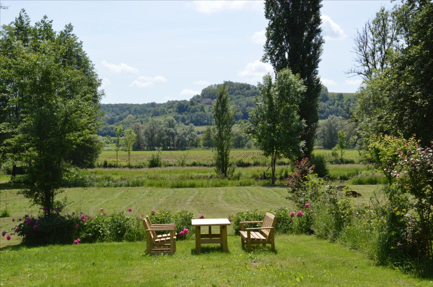  en venta finca rústica Anrosey Haute-Marne 15
