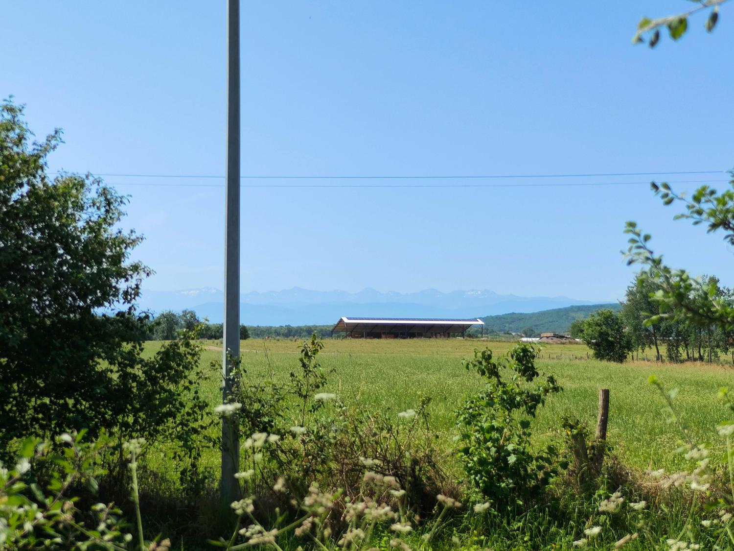  en venta casa con anexo de invitados Terrebasse Haute-Garonne 57