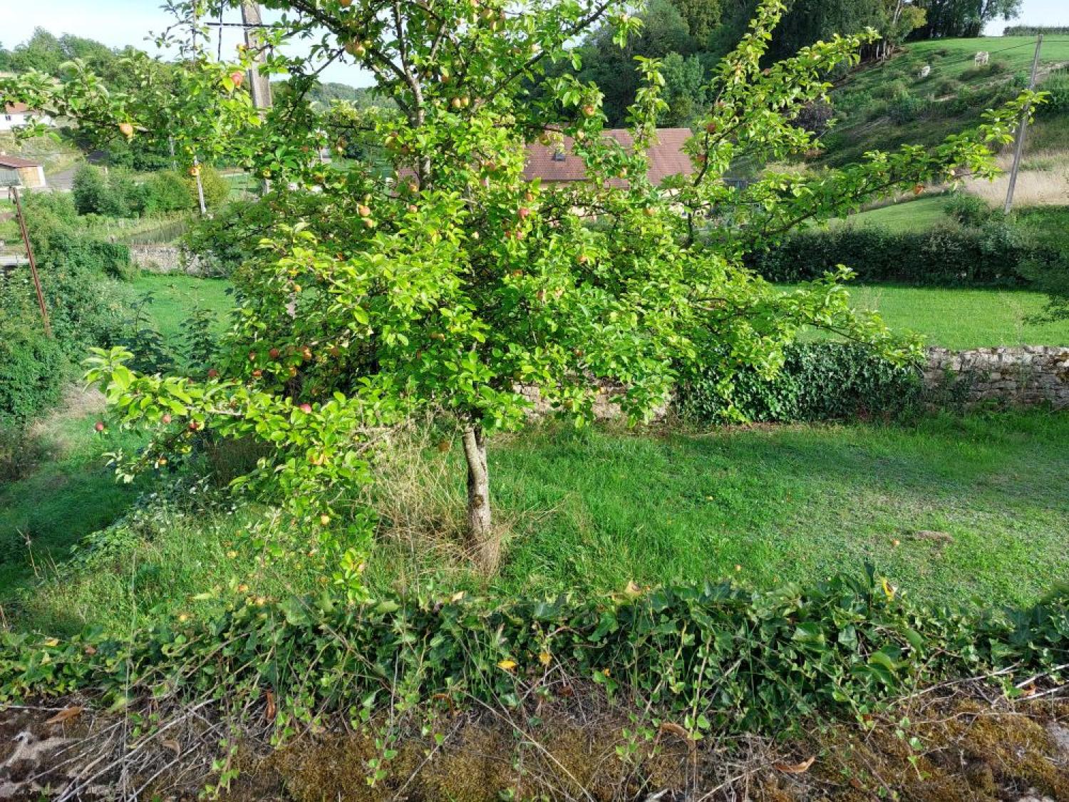 en venta castillo Blondefontaine Haute-Saône 45