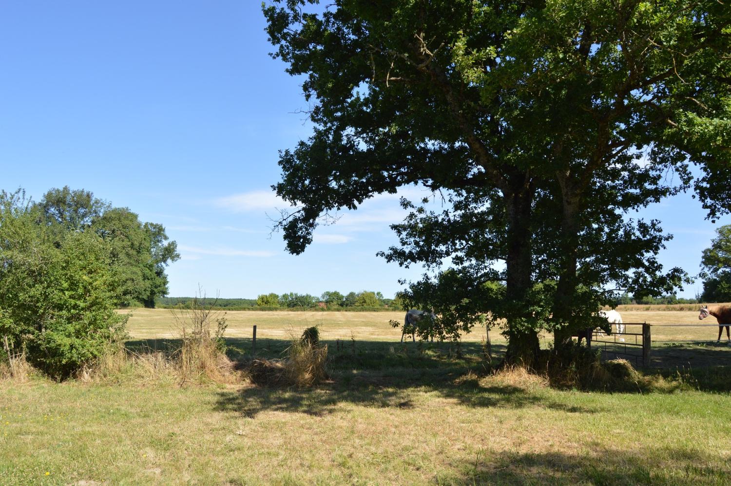  en venta casa Montigny-sur-Canne Nièvre 8