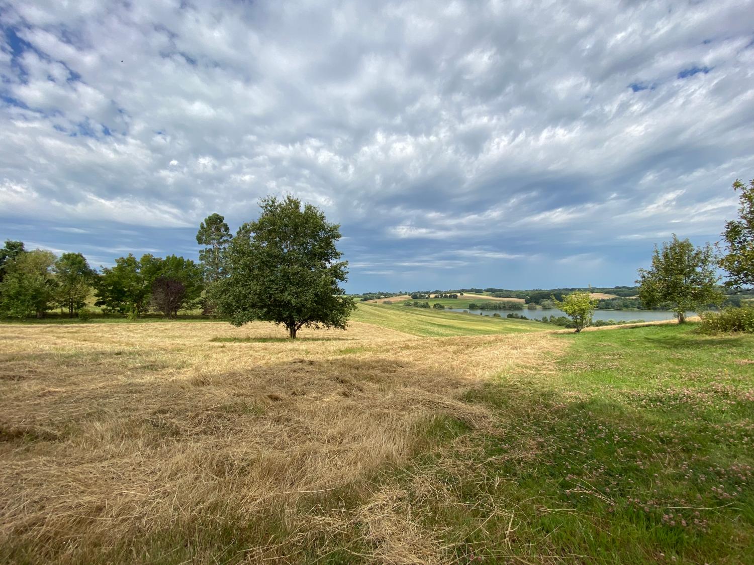  en venta casa independiente Castillon-Debats Gers 27