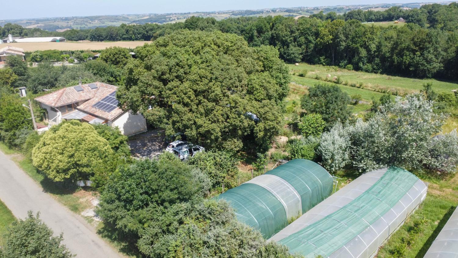  en venta casa con anexo de invitados Terrebasse Haute-Garonne 51