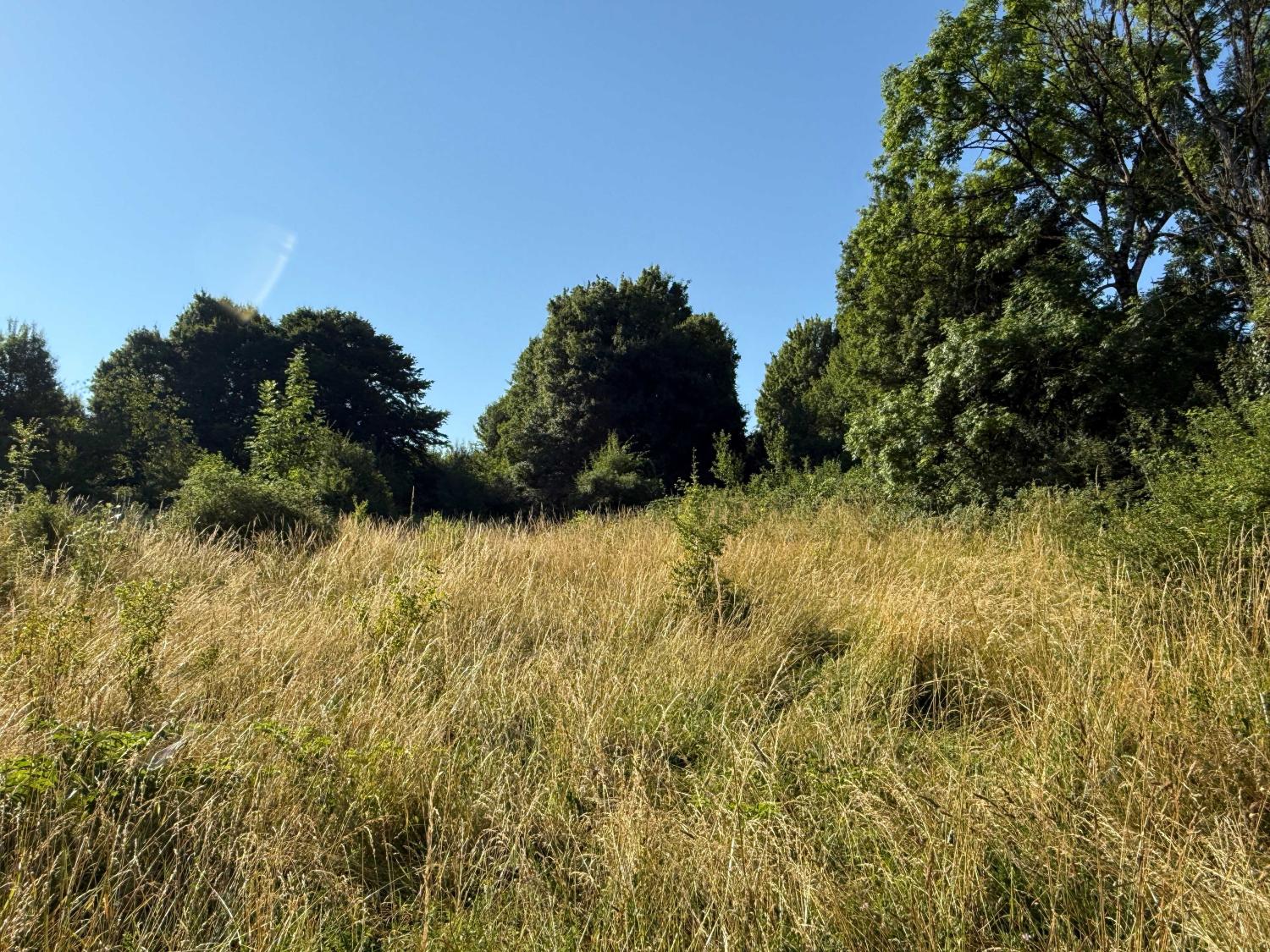  en venta terreno Bourbonne-les-Bains Haute-Marne 7