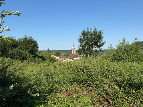 Bourbonne-les-Bains Haute-Marne terreno foto 7114314