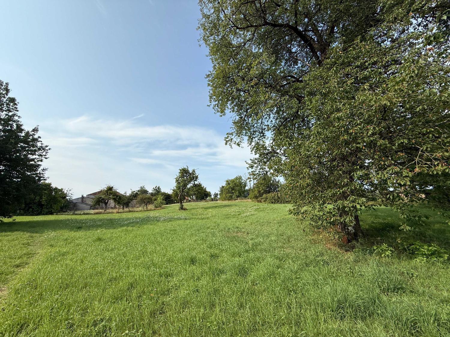  en venta finca de pueblo Châtillon-sur-Saône Vosgos 25