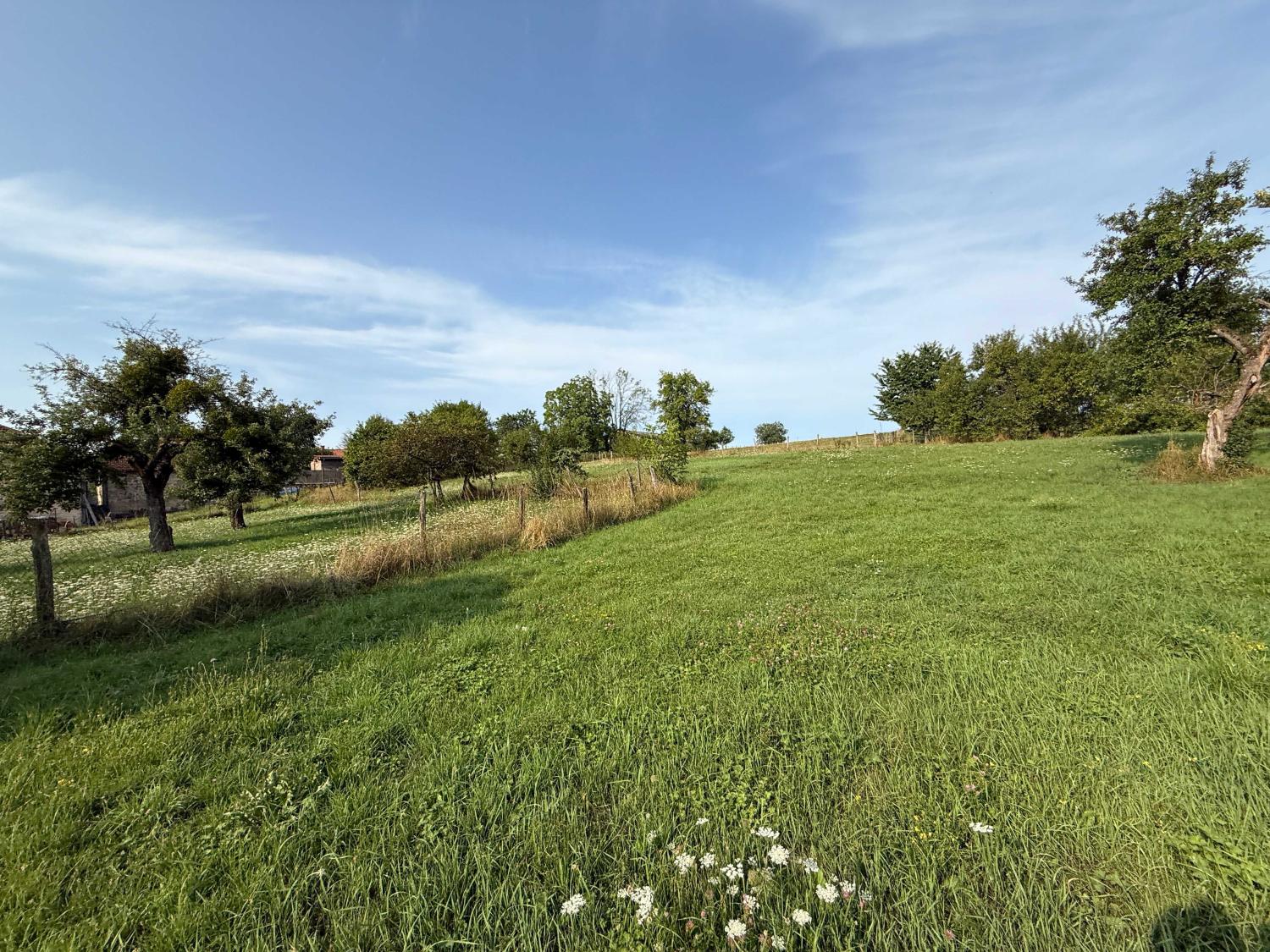  en venta finca de pueblo Châtillon-sur-Saône Vosgos 22