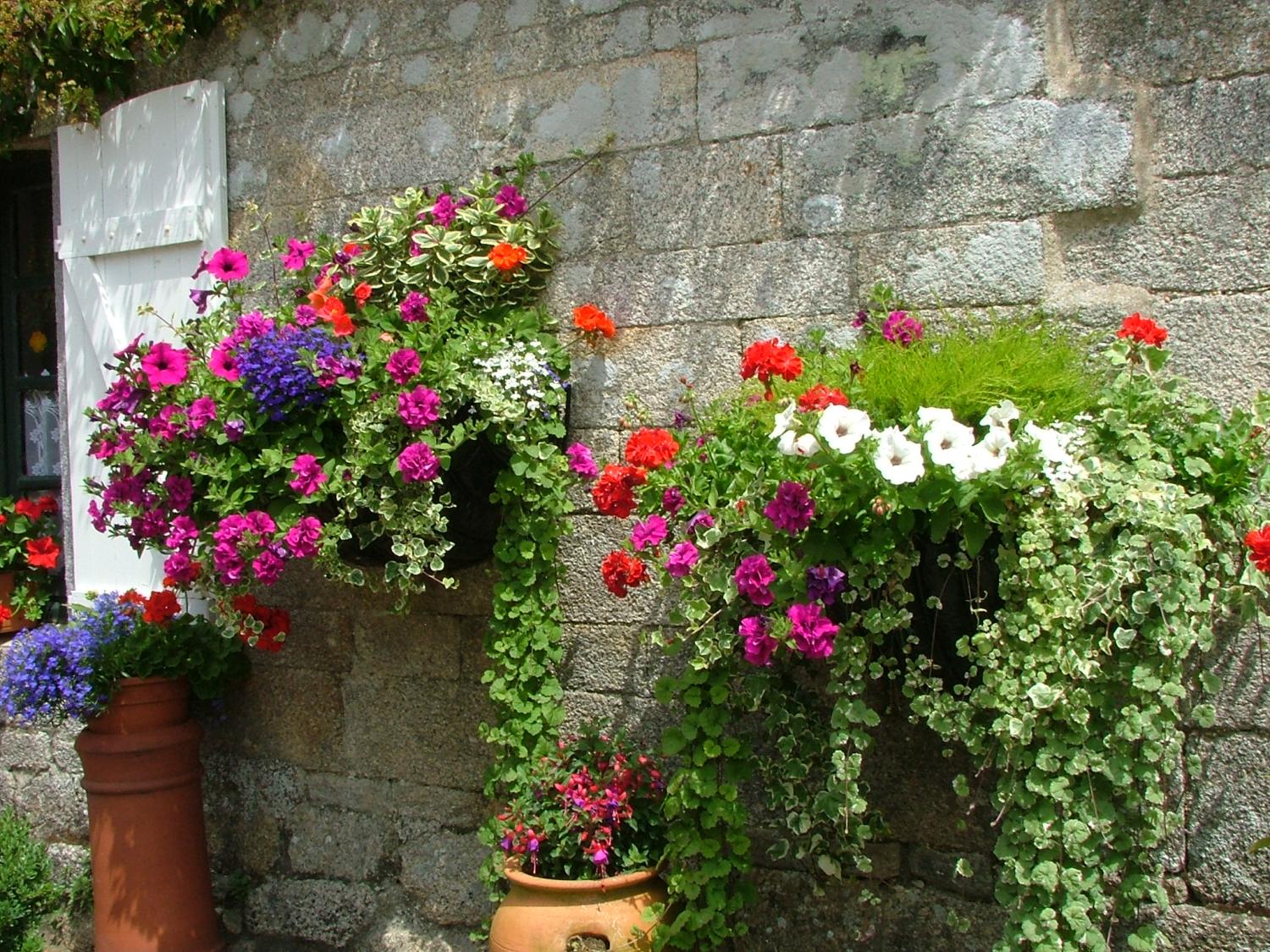  en venta finca rústica Pontivy Morbihan 34