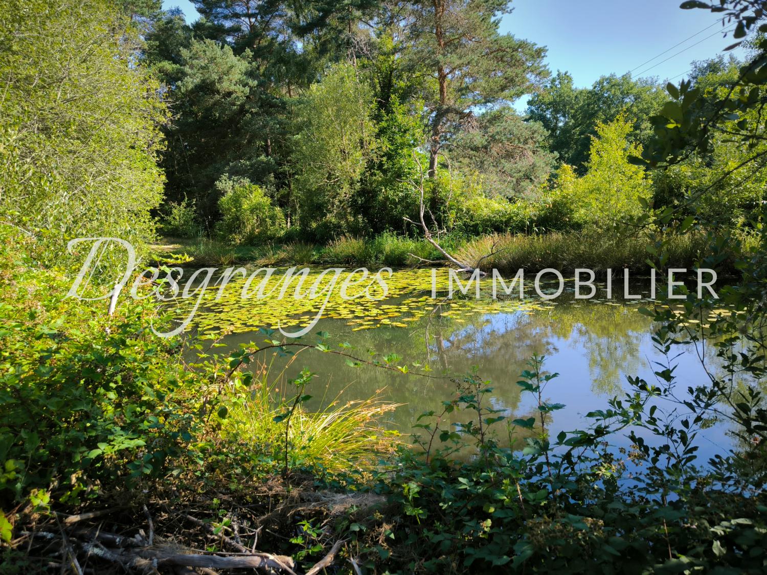 en venta terreno Saint-Yrieix-la-Perche Haute-Vienne 3