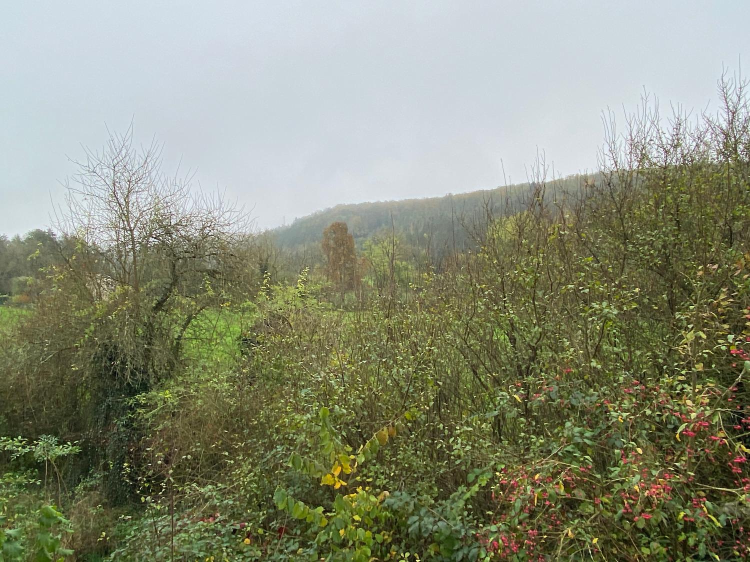  en venta casa de pueblo Donjeux Haute-Marne 10