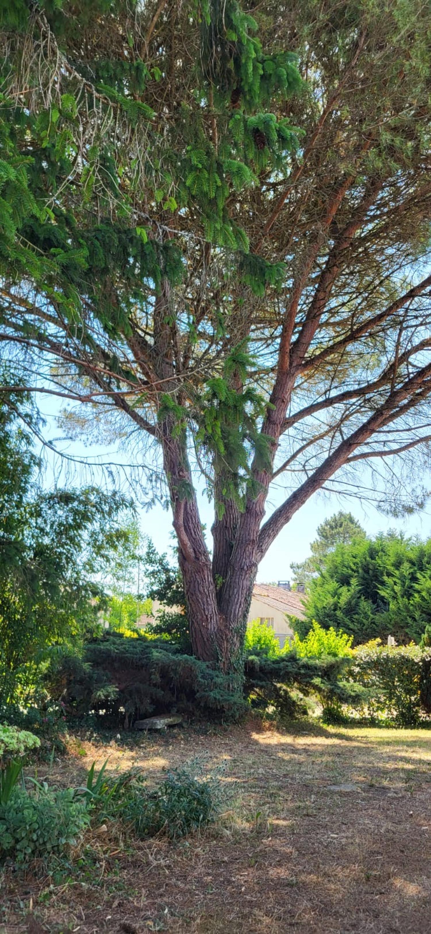  en venta casa Saint-André-de-Lidon Charente-Maritime 55