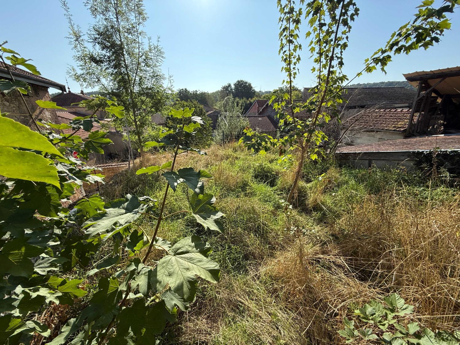  en venta casa de pueblo Doulevant-le-Château Haute-Marne 23