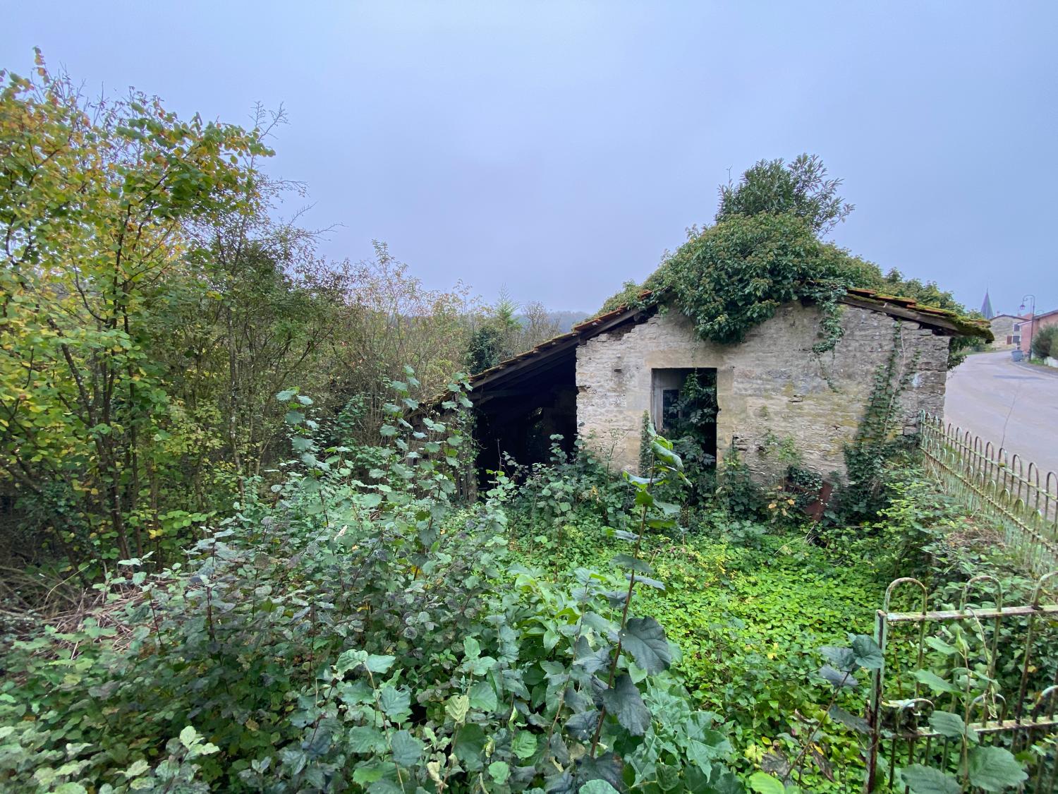  en venta casa de pueblo Donjeux Haute-Marne 4