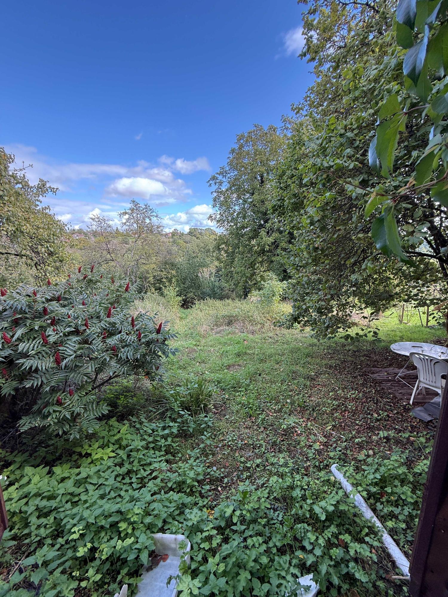  en venta finca de pueblo Damrémont Haute-Marne 7