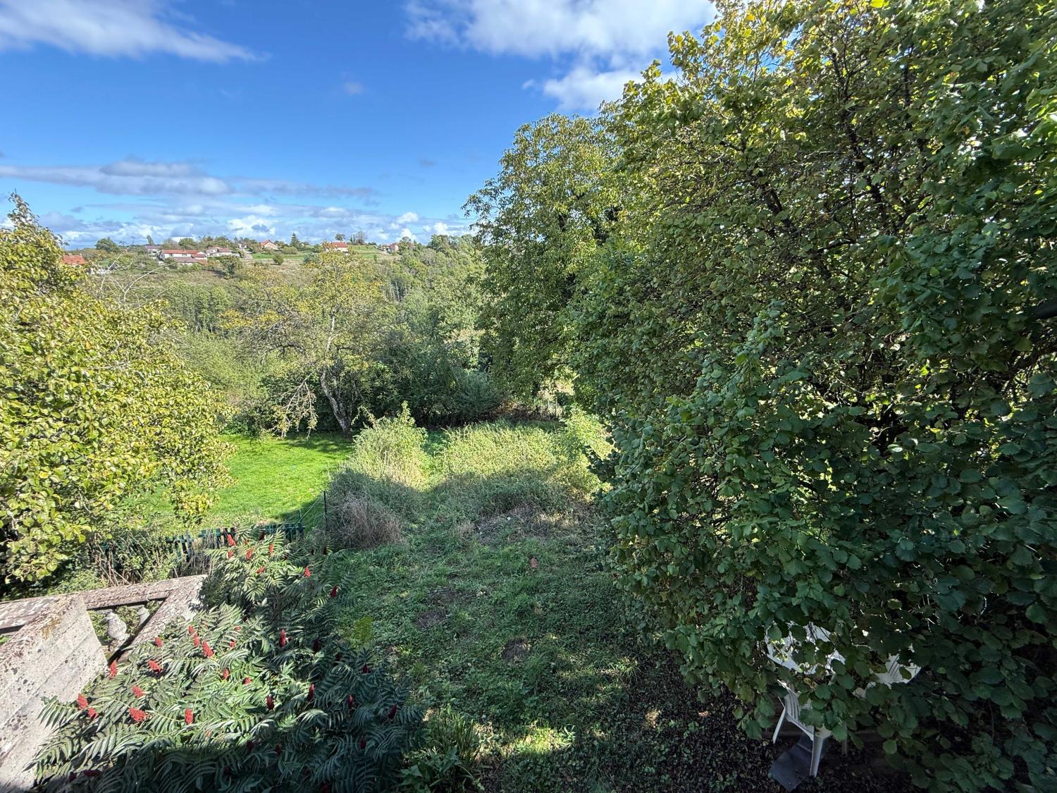 en venta finca de pueblo Damrémont Haute-Marne 5