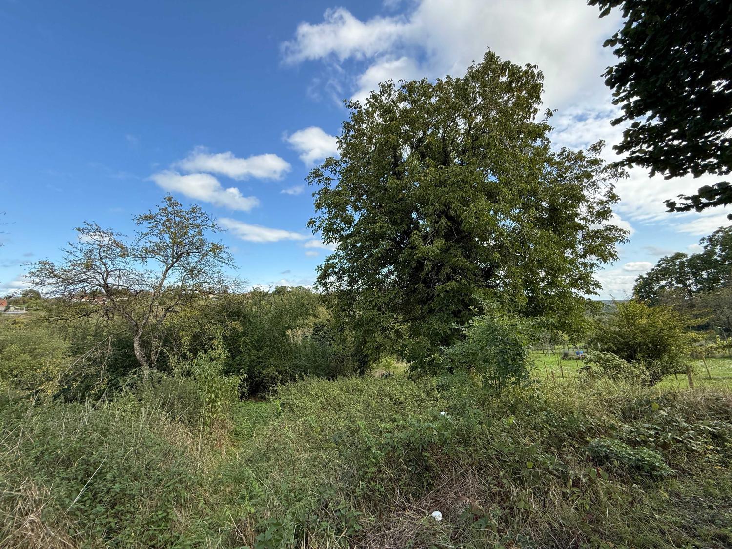  en venta finca de pueblo Damrémont Haute-Marne 23
